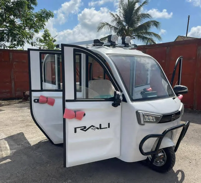 Triciclo Rali paseo